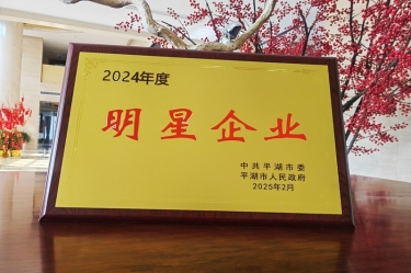 新春新景新气象 | ROYAL皇家88纸业在平湖三干大会上喜摘荣誉！